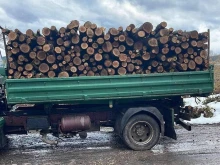 Глоби за 76 000 лева заради нарушения по Закона за горите в Кюстендилско