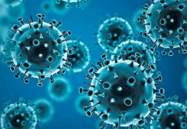 103 са новите случаи на коронавирус у нас за последното денонощие  Направени