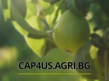 Сдружаване и коопериране - къде бъркаме?