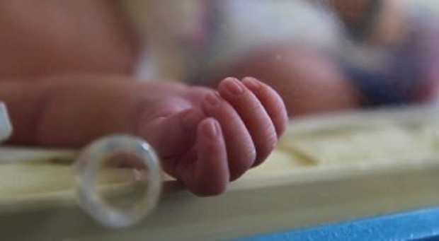 </TD
>Три бебета са се родили в Университетската болница Канев в