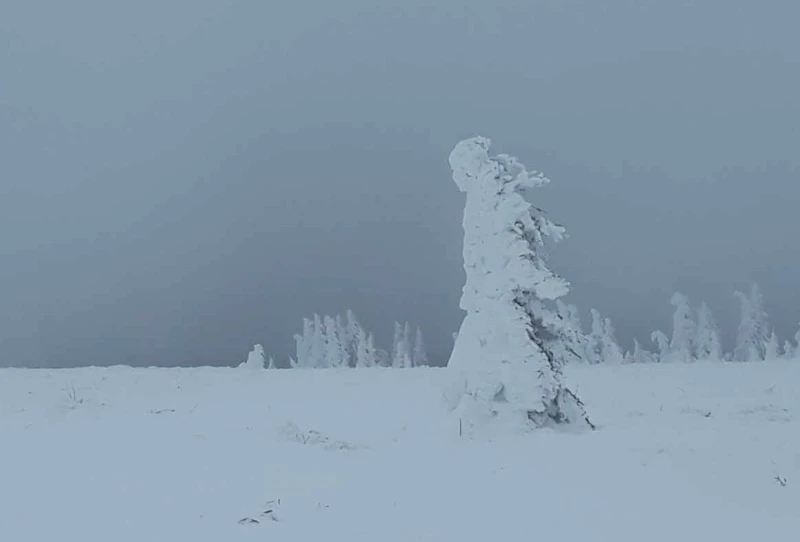 Ще бъде много облачно, но за сметка на това топло за сезона