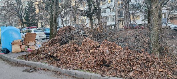 Възмутена гражданка от София: Кмете, кмете...