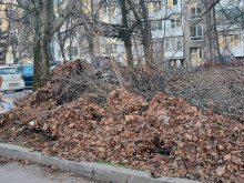 Възмутена гражданка от София: Кмете, кмете...