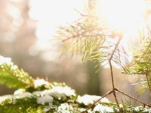 �� 12 ������� � �����, �� �� ��� � �����