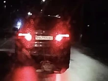 Голяма жестокост разтърси градче в Южна България