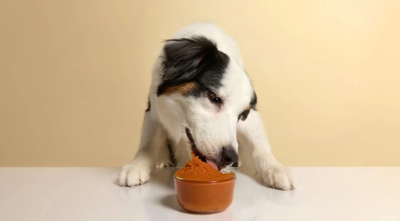 �� �� ���������� ����� �� ������ �� ���� �������