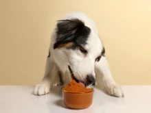 �� �� ���������� ����� �� ������ �� ���� �������