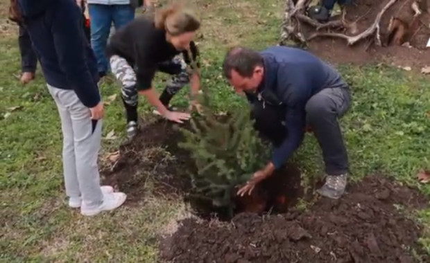 TD Жители на Бургас дадоха нов живот на коледните дръвчета Инициативата