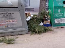 Не изхвърляйте коледните дръвчета, вижте как може да ги използвате