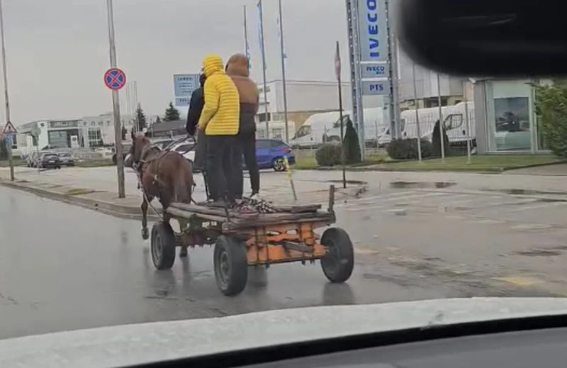Пловдивско участие в "Троя"