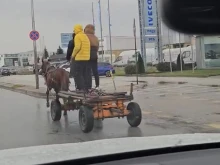 Пловдивско участие в "Троя"