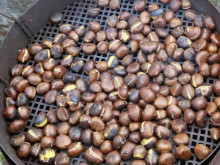 Могат да се пекат и варят и са невероятно вкусни