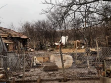 Приют за кучета вдигна на бунт жителите на свищовско село