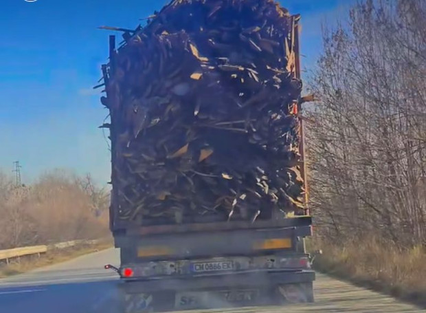TD Камион пълен с дърва притесни пловдивчанка разбра Plovdiv24 bg  Във фейсбук групата Забелязано