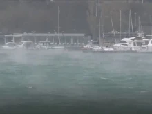 ����� ���� "����": ����������� �� ���� ����� � ���������� �������