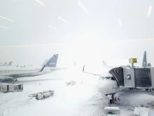 ������ ������� � ���: ��� 2000 ������ �� ��������