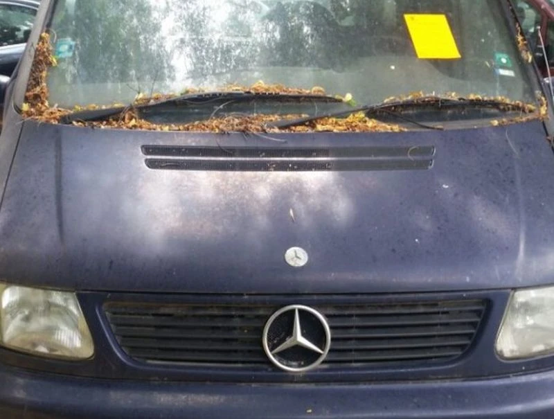 Пловдивчанин с иновативно предложение. Иска специални стикери по колите в града