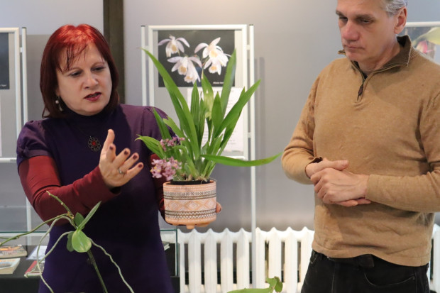 Откриха изложба Орхидеи между кориците в Регионална библиотека Варна. Събитието