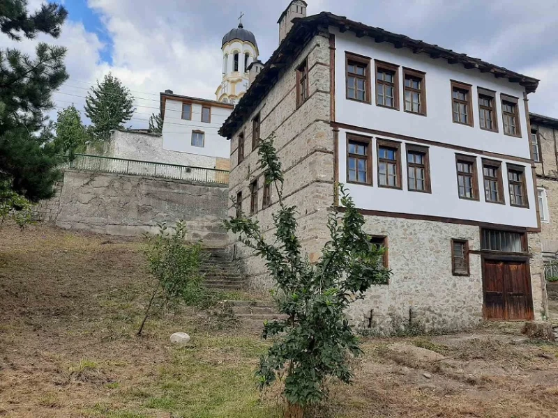 На 27 януари стартира Детската образователна програма на музей галерия "Петър Пиронков"