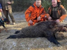 Ловци завършиха сезона с трофейна слука, поваляйки звяра на Перица