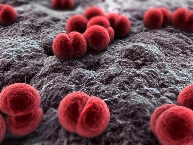 ������� �������� � �������