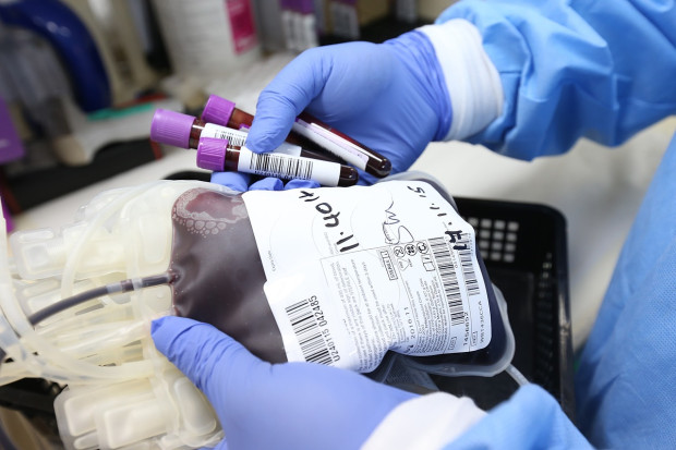 TD Апел за безвъзмездно даряване на кръв отправя екипът на Отделението