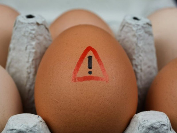 Развалените яйца са изключително опасни за здравето затова е много важно да
