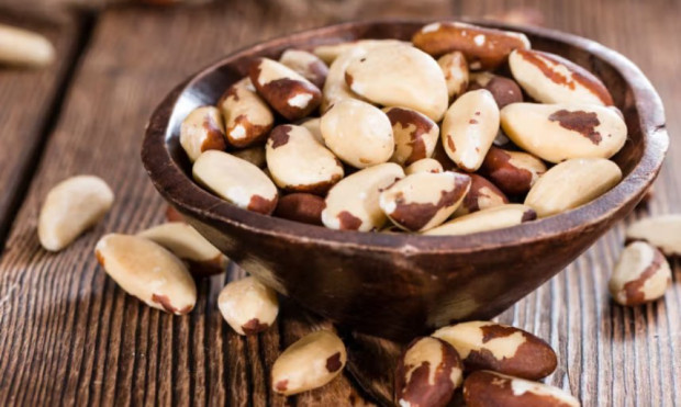 Sofia24 bg ще ви разкаже днес за бразилските орехи които са