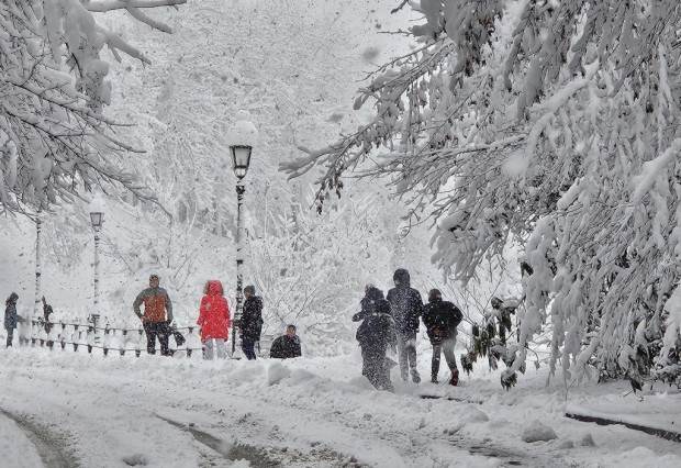 Днес, 19 януари, в Словения е регистриран обилен снеговалеж, който