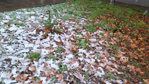 </TD
>Сняг вали от обяд в Бургас. Засега няма изгледи да