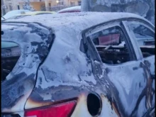 Наказателна акция срещу голям наш бизнесмен
