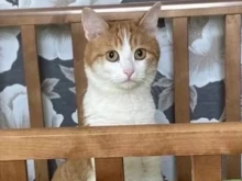   :        30 