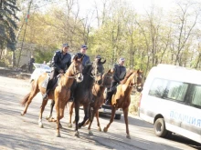 Кметът на район "Триадица" в София иска конни патрули в големите градски паркове на територията му