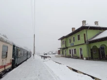 Родопската теснолинейка е на ръба