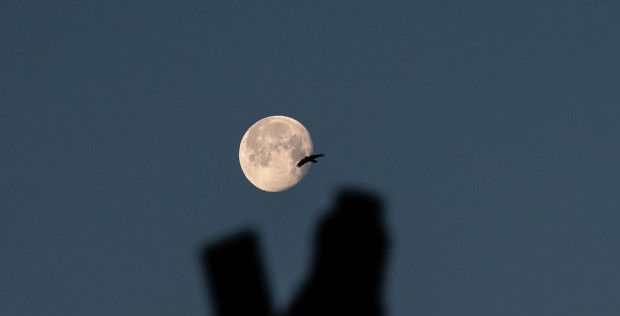 TD Русенски фотограф сподели в популярна Facebook група снимка на луната която