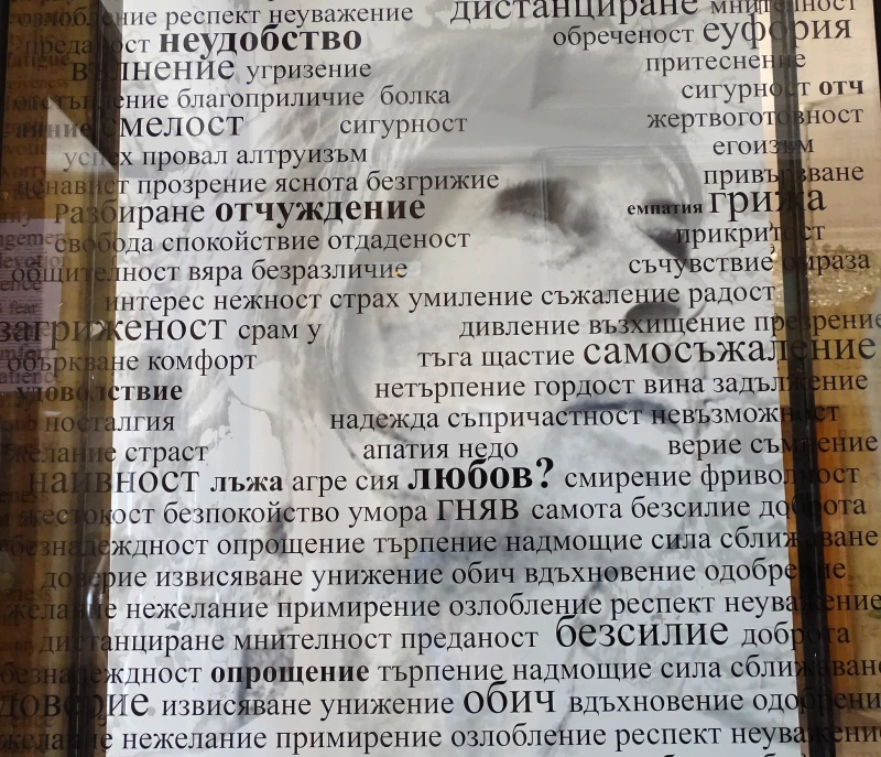 Арт-инсталация е първото, което посетителите на Община Велико Търново виждат