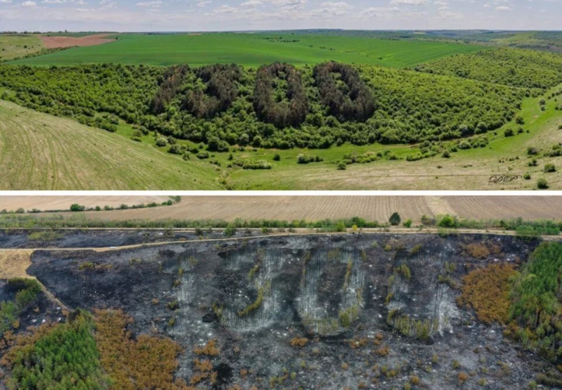 След пожара: Възстановяват надписа от дървета "1300 години България" в Русенско
