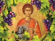 В църква в Пловдив изографисват Свети Трифон по различен начин