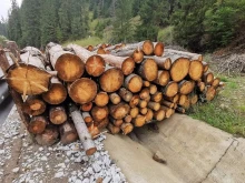 Важно за осигуряването на дърва за огрев в община Девин