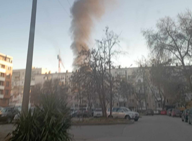 TD Пожар гори в южната част на Пловдив научи Plovdiv24 bg от
