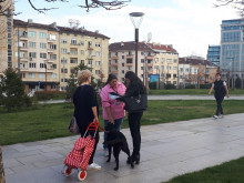 В София: Над 250 стопани на кучета са проверени за месец, някои от тях се сдобиха с актове