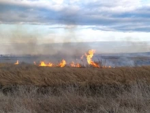 Пламъци превзеха полето на голямо пловдивско село