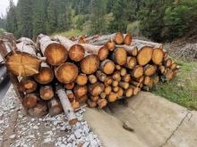 Каква ще е цената на дървата за огрев за населението през новия отоплителен сезон?