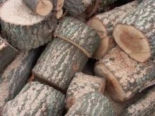 Спипаха незаконна дървесина в Русенско