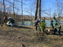 Засаждат над 150 нови иглолистни дървета в гората над езерото в Търговище