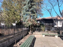 Укрепиха дървета в двора на църквата "Св. Георги" в Добрич