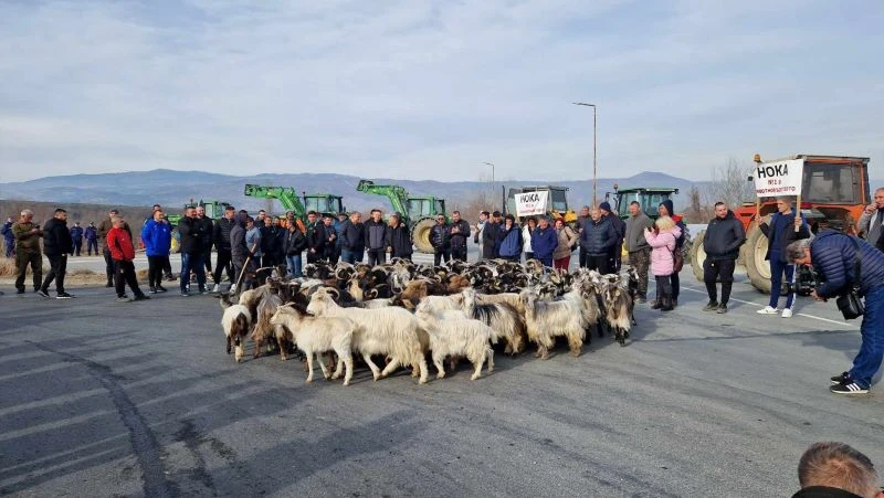 Земеделци блокират подстъпите към граничните пунктове "Златарево" и "Кулата"