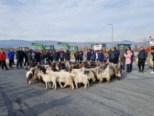 Земеделци блокират подстъпите към граничните пунктове "Златарево" и "Кулата"
