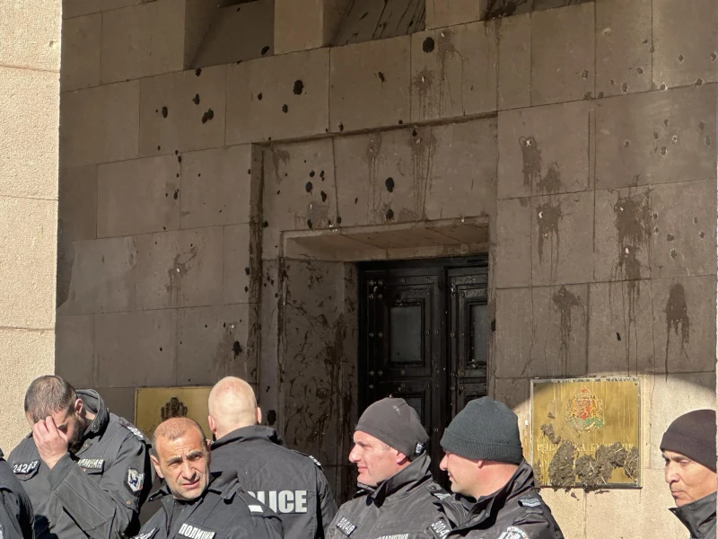 "Възраждане" замеряха сградата на Конституционния съд с яйца