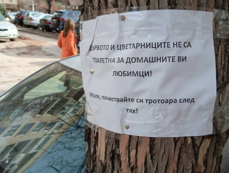 Попитаха невъзпитана госпожица как ще реагира, ако намери подобно нещо пред входната си врата
